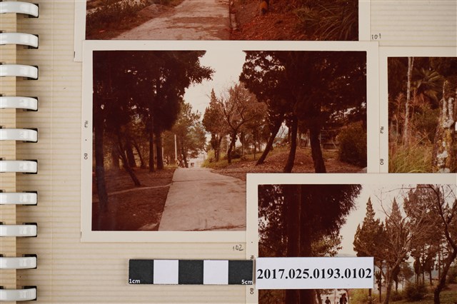 村落道路 (共4張)