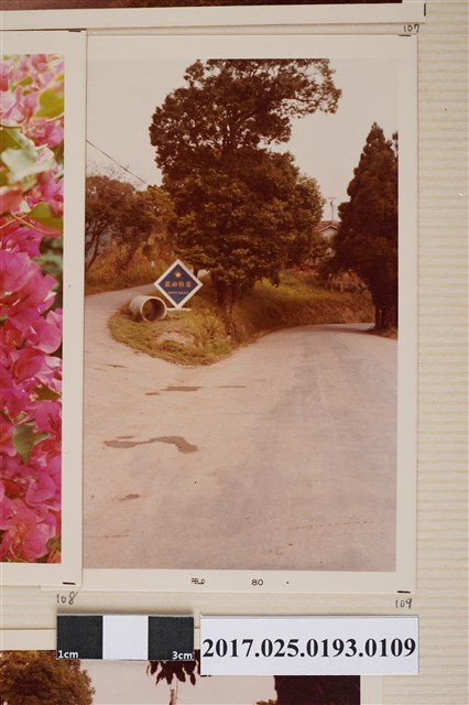 霧社山莊道路 (共4張)