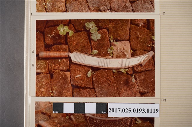 原住民獵刀 (共4張)