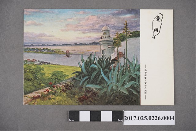 安平茂盛熱帶樹木之美麗景觀 (共2張)