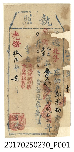 光緒16年(1890年)鄭承福執照 (共1張)