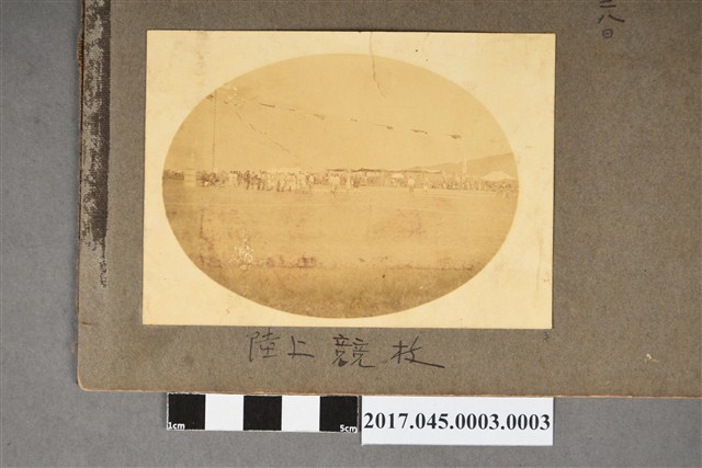 陸上競技 (共2張)