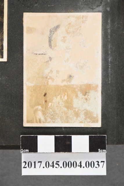 學生獨照 (共2張)