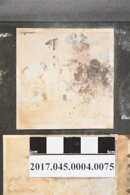 孩童獨照 (共2張)