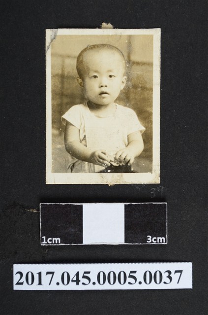 林桂興外孫陳盟中幼童時期獨照 (共2張)