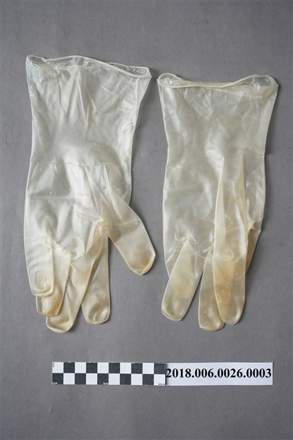 消毒矽膠手套 (共2張)