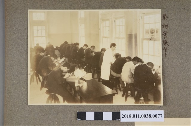 動物實驗室 (共2張)