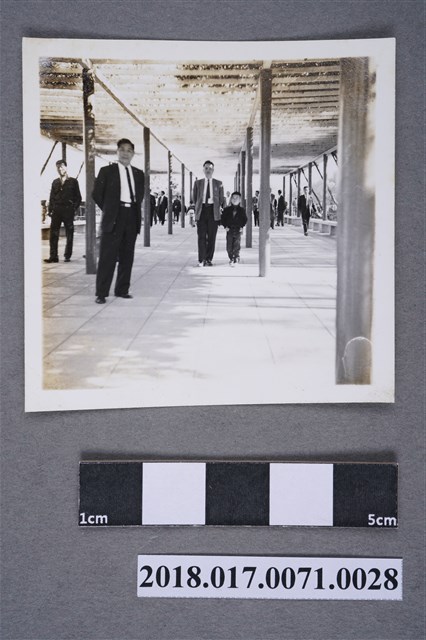 王木春與同事合照 (共3張)