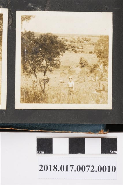 林坤佐於林野中 (共2張)