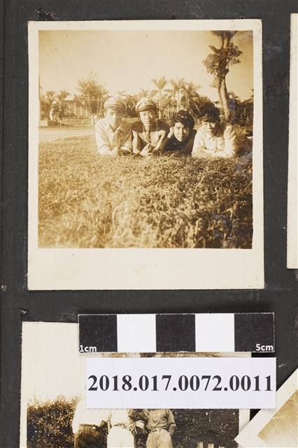 林坤佐與三名同學趴在草地 (共2張)