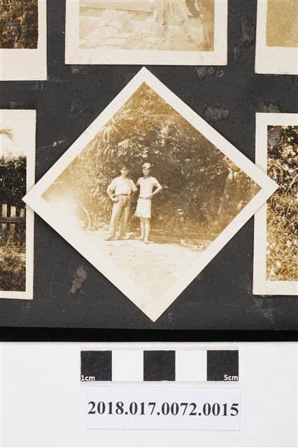 林坤佐與同學站在樹前 (共2張)