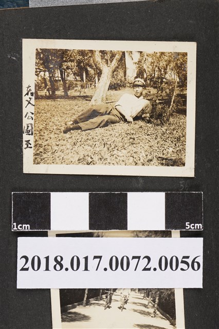 林坤佐攝於嘉義公園 (共2張)