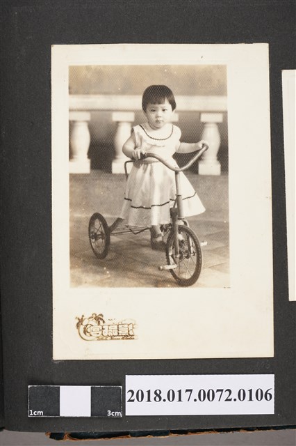 蘇金鈴女兒騎三輪車 (共2張)