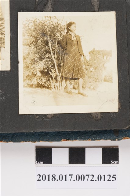 青年女子 (共2張)