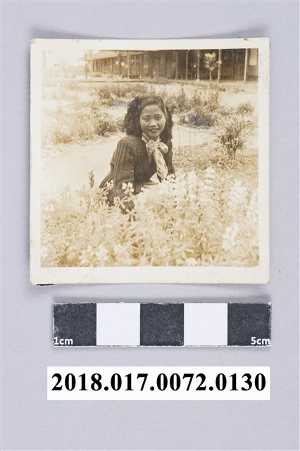 青年女子 (共2張)