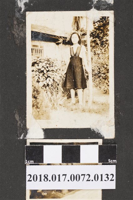 林何賽秋 (共2張)