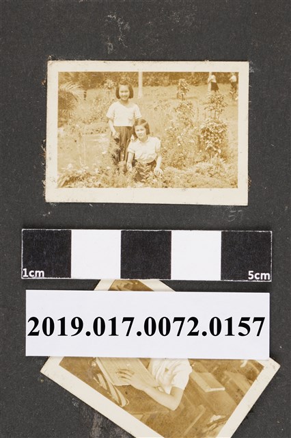 二名少女於花叢 (共2張)