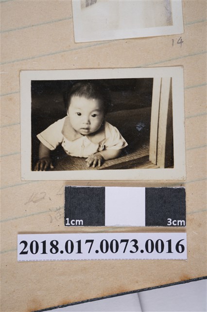 林夙芬六個月大 (共2張)