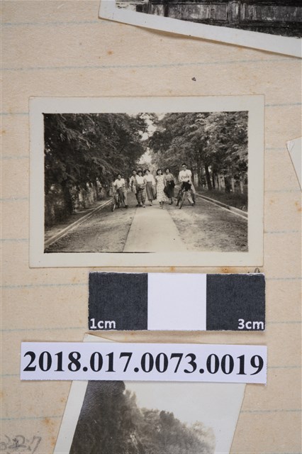 林坤佐與六名親友於林蔭大道 (共2張)