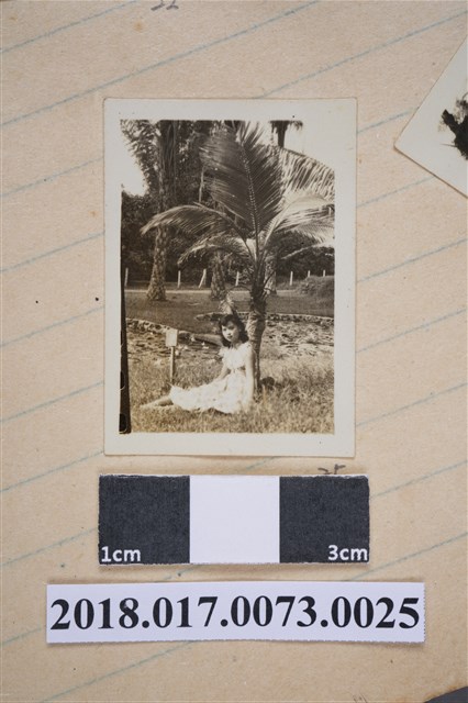 青年女子坐於椰子樹前 (共2張)