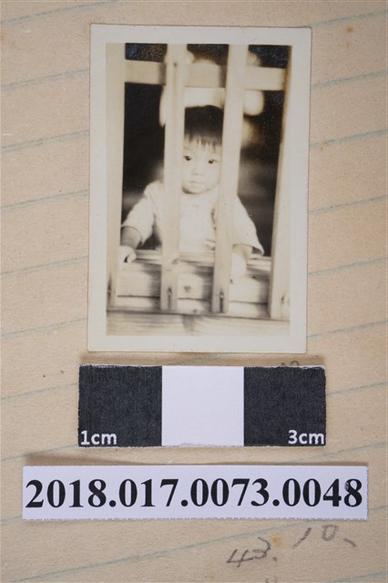 林夙芬滿周歲 (共2張)