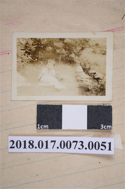 林夙芬坐在草地上 (共2張)