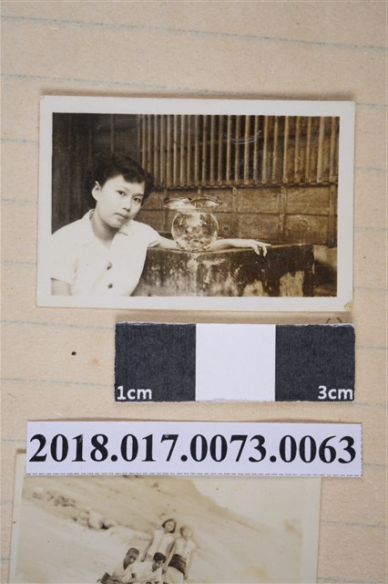 林何賽秋 (共2張)