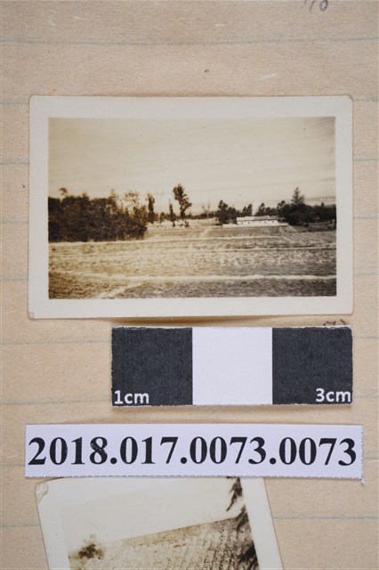 農田夕照 (共2張)