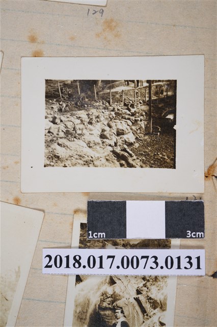 圓山動物園動物 (共2張)