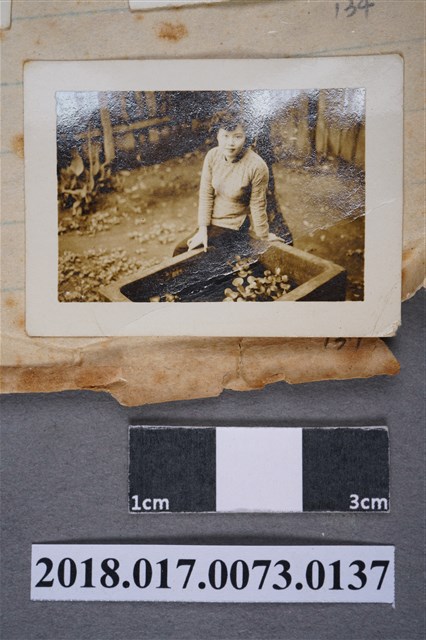 林何賽秋 (共2張)