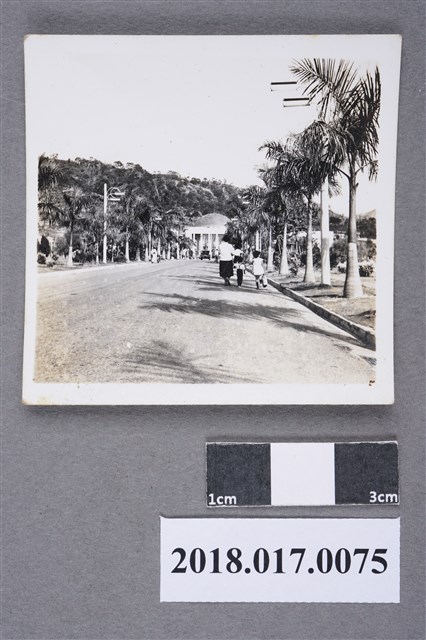 林何賽秋與子女於中興新村 (共2張)