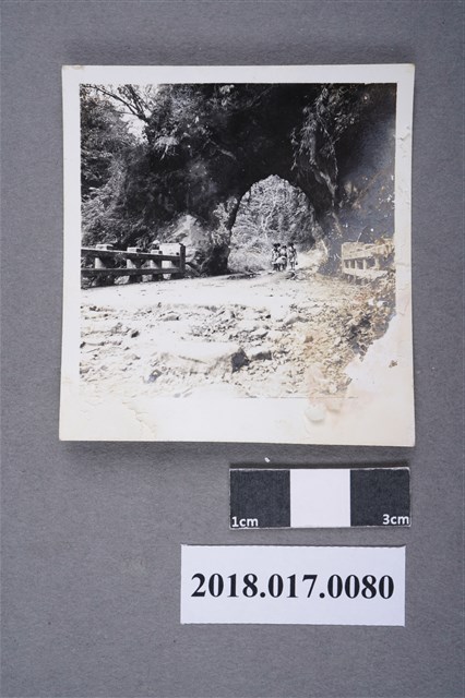 阿里山公路觸口山洞 (共2張)