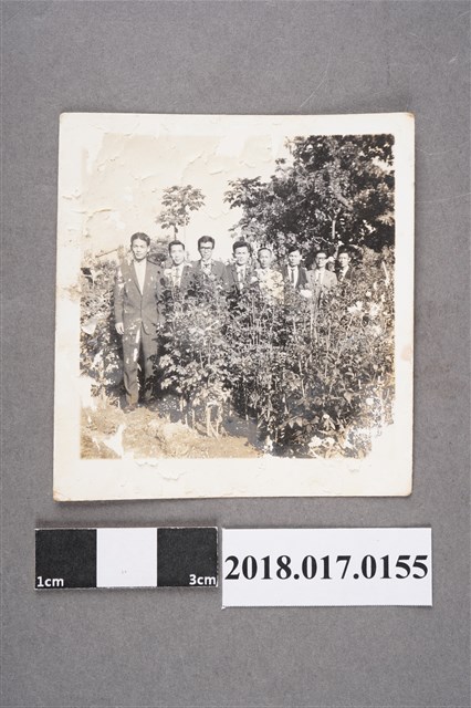 何碧雲與何仁傑等八人於花圃 (共2張)