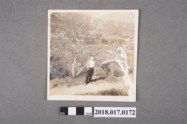 林坤佐於果園 (共2張)