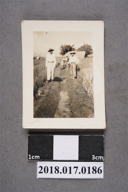 實行協會修補小水路 (共2張)