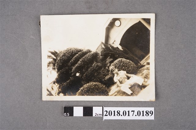 高中男生 (共2張)