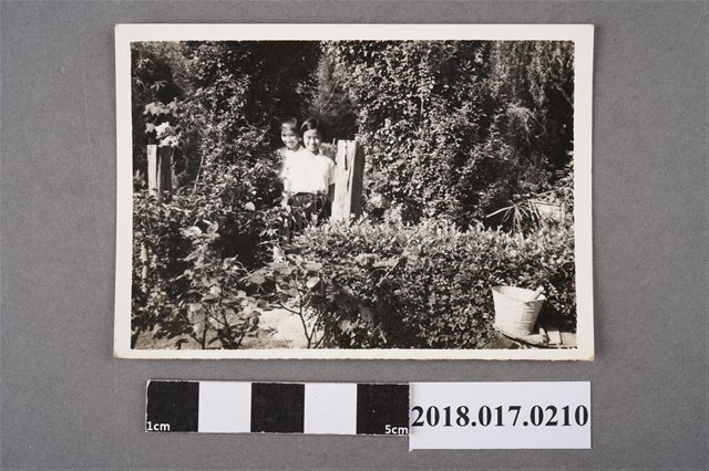 二名女中學生 (共2張)