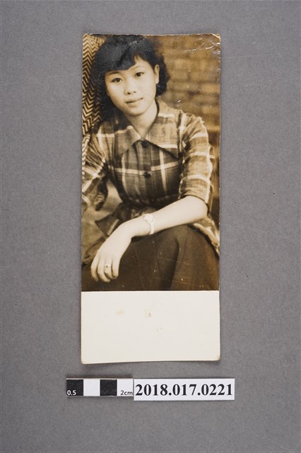 青年女子 (共2張)