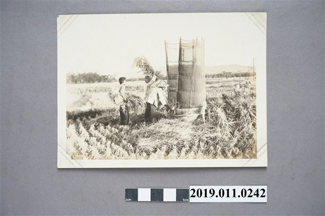 黑白人物照 (共3張)