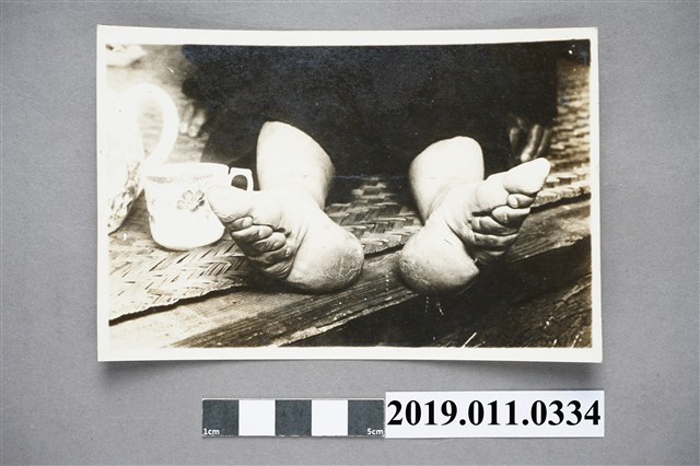 三寸金蓮照片 (共3張)