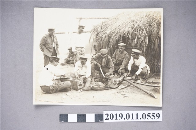 日本警察討伐隊宰割鹿肉 (共3張)