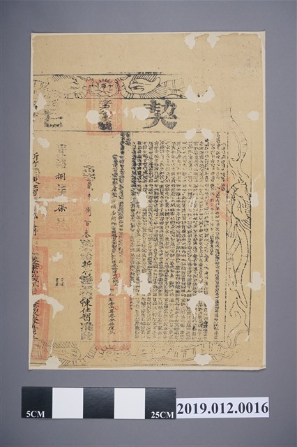 光緒8年陳仕智契尾 (共2張)