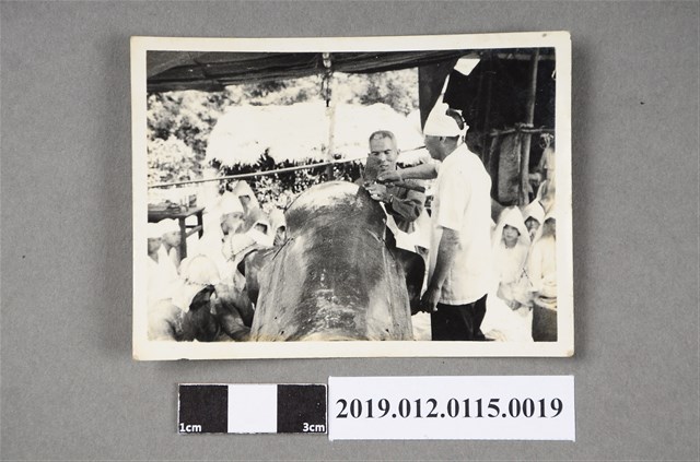 中壢郡過嶺許文亮葬式記錄照片 (共3張)