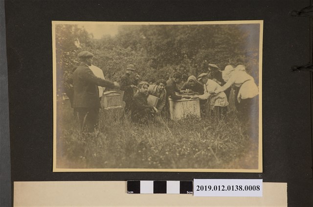 養蜂人家 (共2張)