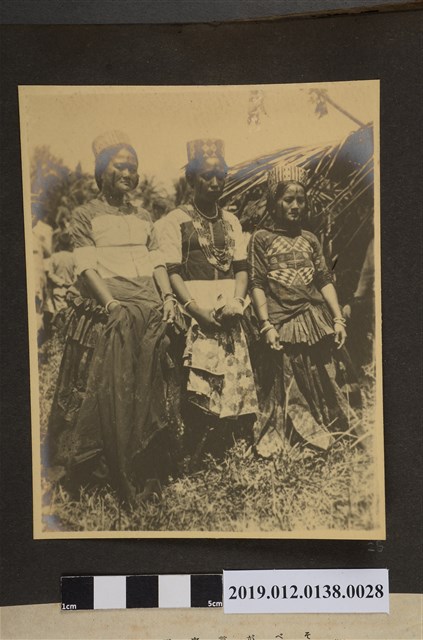 南洋原住民婦女 (共2張)