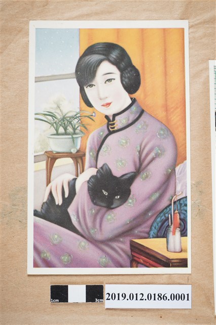 抱黑貓的女人 (共2張)