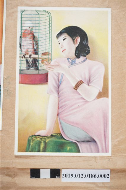 女人與鸚鵡 (共2張)