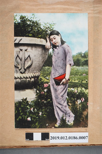 穿著灰色旗袍的女人 (共2張)