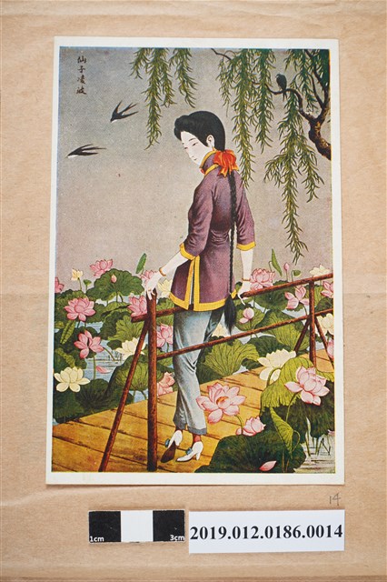 女人與蓮花 (共2張)