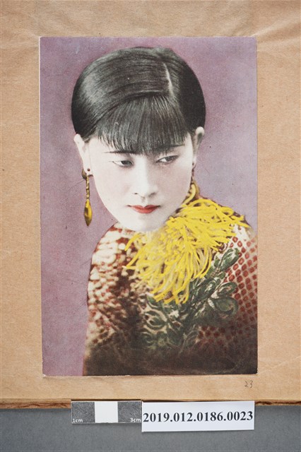 短髮女人 (共2張)